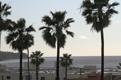 Stunning Ocean and Palos Verdes View 